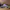 Converse Chuck Taylor Hi X Stussy Crocskin Leather Purple N4