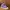 Converse Chuck Taylor Hi x Stussy Crocskin Leather Purple N4 photo 1