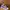 Converse Chuck Taylor Hi X Stussy Crocskin Leather Purple N4