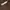 Stradivarius Casual Minimalist Skirt Wanita brown photo 5