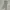 Cargo Pants Multipocket Real Crush Clothing photo 4