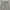 Cargo Pants Multipocket Real Crush Clothing photo 2