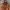 US Army ECWCS Gen1 by Houston photo 2