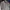 Battle Dress Uniform 3DCU US Army photo 2