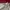 Carhartt Vintage Hoody Pria red photo 4