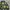 Japanese brand Streetwear Sweater Pria multicolor photo 4