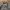 REIRAI GRAY WASH TRUCKER JACKET  photo 4