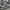 Converse Chuck all star high BW leather photo 5