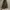 Vintage floral skirt brown gold swede pleats maxi fairy y2k  photo 6