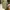iphone 12 photo 1