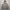 Indigo Bank X Peanut Snoopy Grey Hoodie photo 1