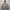 Indigo Bank X Peanut Snoopy Grey Hoodie