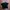 POCKET TEE BEN DAVIS BOXY OVERSIZE photo 1