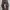 carhartt double knee dark brown photo 2