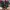 Nike Air Jordan 33 techpack photo 2