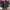 Nike Air Jordan 33 Techpack
