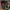 Nike Air Jordan 33 techpack photo 4
