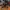 Nike Air Jordan 33 techpack photo 1