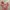 MgP Pink Puffed Crop Top photo 1