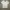 Vintage 1990s Soffe Blank Ringer tee photo 4