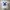 Stussy Streetwear Vintage T-shirt Pria white photo 1