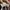 NEW BALANCE 996 MARATHON RUNNING photo 8