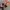 NEW BALANCE 996 MARATHON RUNNING photo 5