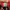 NEW BALANCE 574 RED photo 7