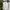 Blezer warna ivory kancing balmain photo 1