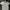 polo shirt gucci photo 1