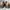 ECCO Casual Dress shoe Pria brown photo 7