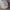 Robot Mesin Pel lantai  photo 1