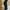 Hip&Tell | Petite Highwaist Cutbray Jeans | Kelly Jeans Blac photo 3