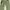Camo cargo pant photo 4