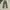 Camo cargo pant photo 1