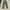 Camo cargo pant photo 5