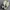 NEW BALANCE CT302 WHITE REFLECTION VIOLET photo 4