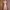 A soft silky pink lingerie nightgown kimono set
 photo 3