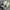 NEW BALANCE CT302 WHITE REFLECTION VIOLET photo 4