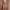 A silky tulle mauve lingerie set
 photo 1