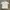 Vintage Jersey Sport FUBU Blokecore Y2K White 