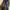 chic girl skinny jeans photo 3