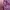 Kemeja Flanel Lesbian Pride Flag photo 6