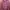 Kemeja Flanel Lesbian Pride Flag photo 1