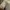 A white tulle bow princess coquette sleepgown  photo 2