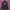 Tracktop jacket adidas climalite big logo photo 1