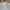 Champion Streetwear Casual Sweatshirt Pria gray photo 4