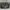 Coach Cassidy Crossbody Body Bag