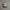 NEW BALANCE 1906R GRAY WHITE photo 1