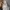 Nike Streetwear Casual Sweatshirt Pria gray photo 4